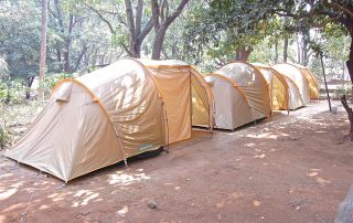 Standard Tent 2 at Ecomantra Camp